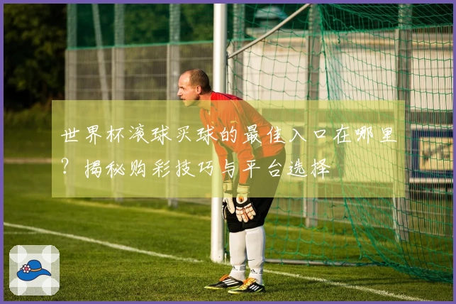 世界杯滚球买球的最佳入口在哪里？揭秘购彩技巧与平台选择