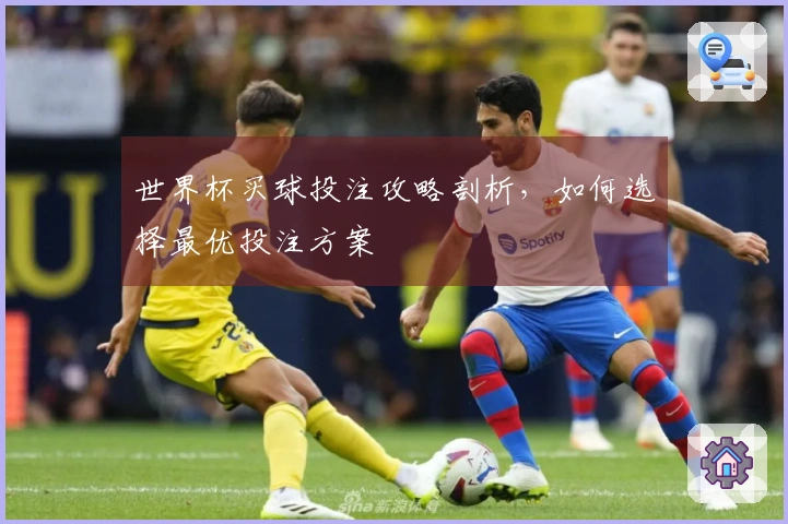 世界杯买球投注攻略剖析，如何选择最优投注方案