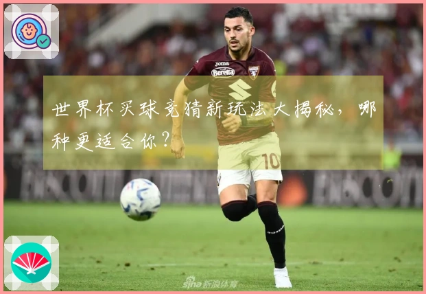 世界杯买球竞猜新玩法大揭秘，哪种更适合你？