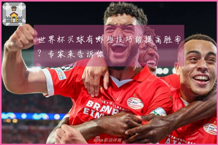 世界杯买球有哪些技巧能提高胜率？专家来告诉你