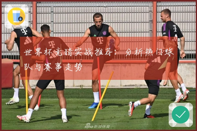 世界杯竞猜实战推荐：分析热门球队与赛事走势