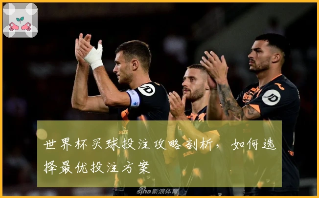 世界杯买球投注攻略剖析，如何选择最优投注方案